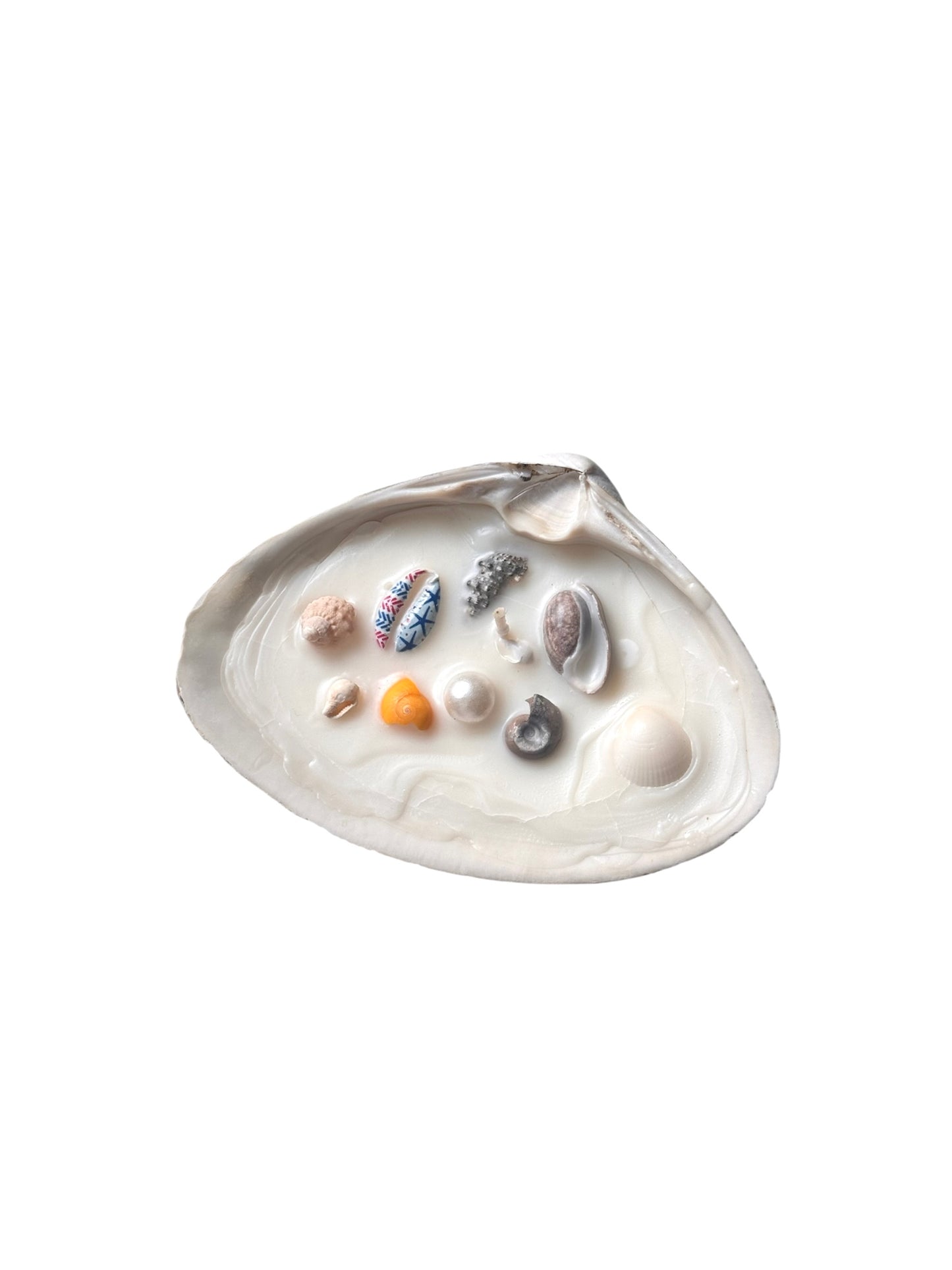 Seashell Candles