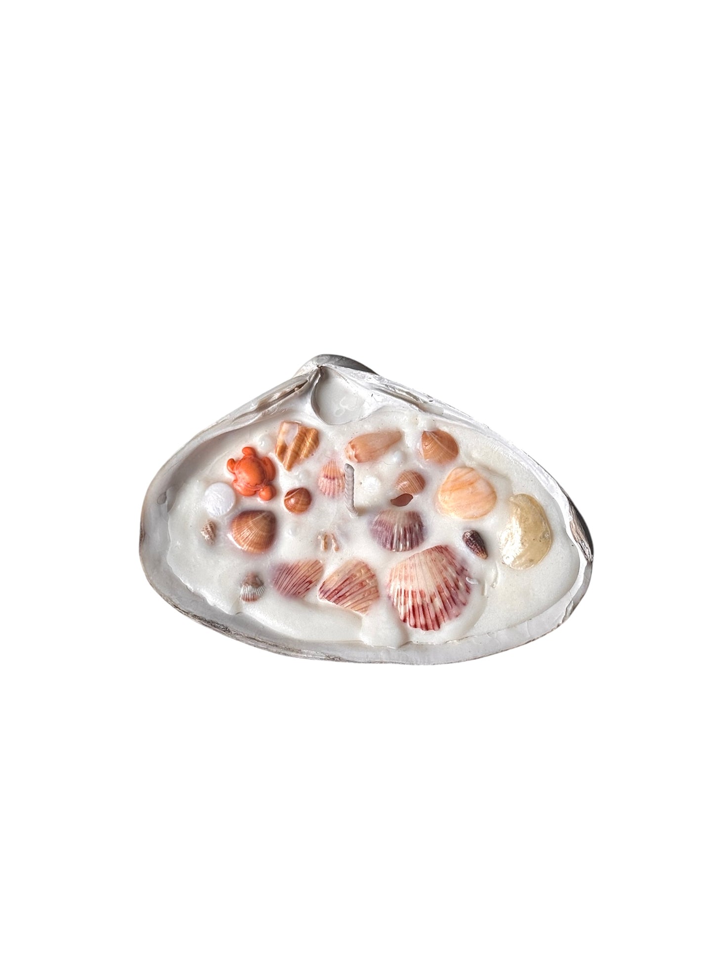 Seashell Candles