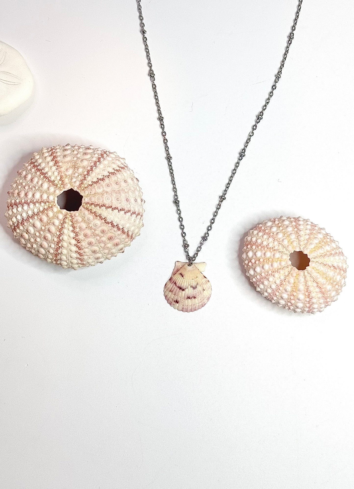The Dainty Satellite Chain