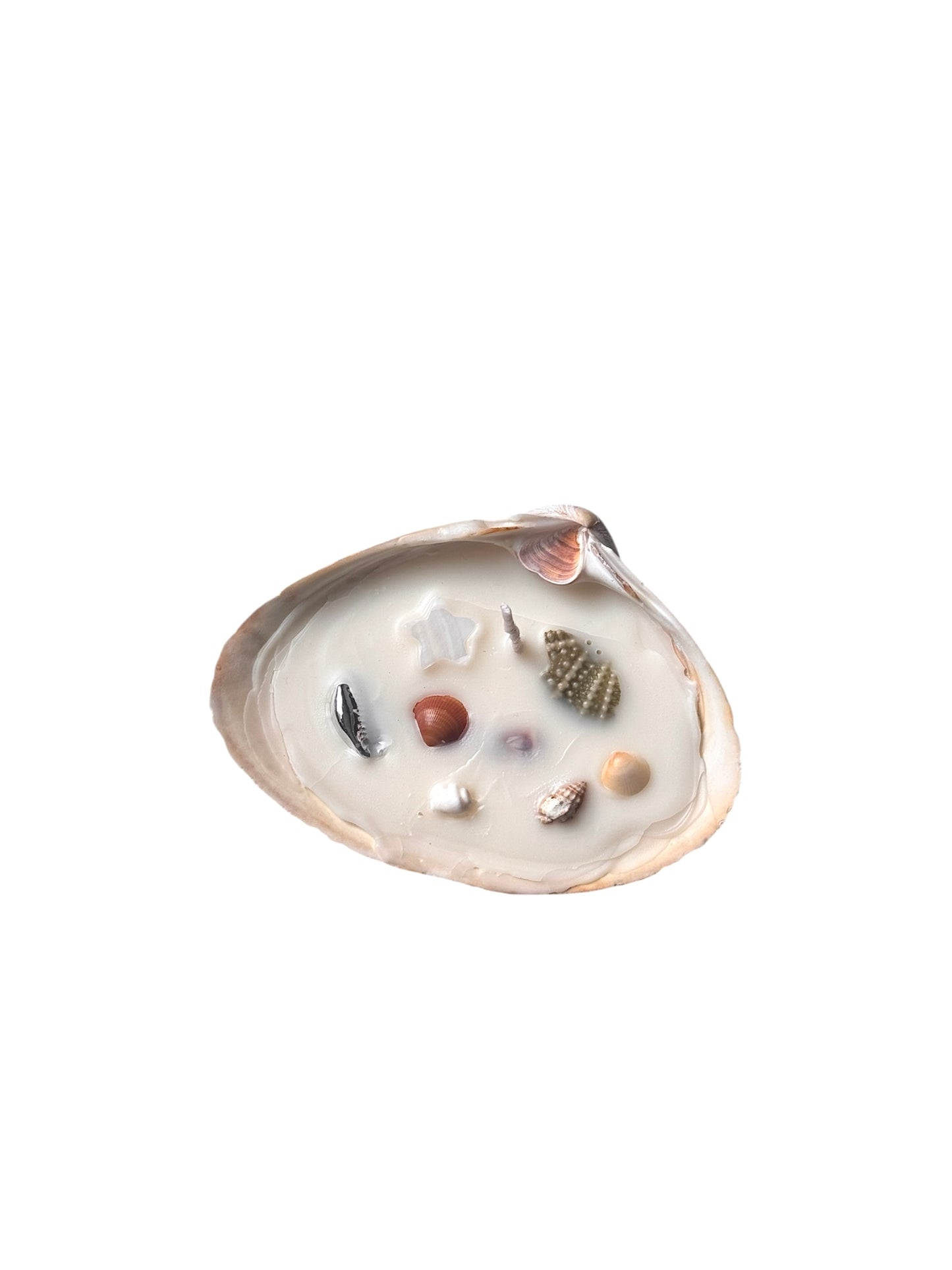 Seashell Candles