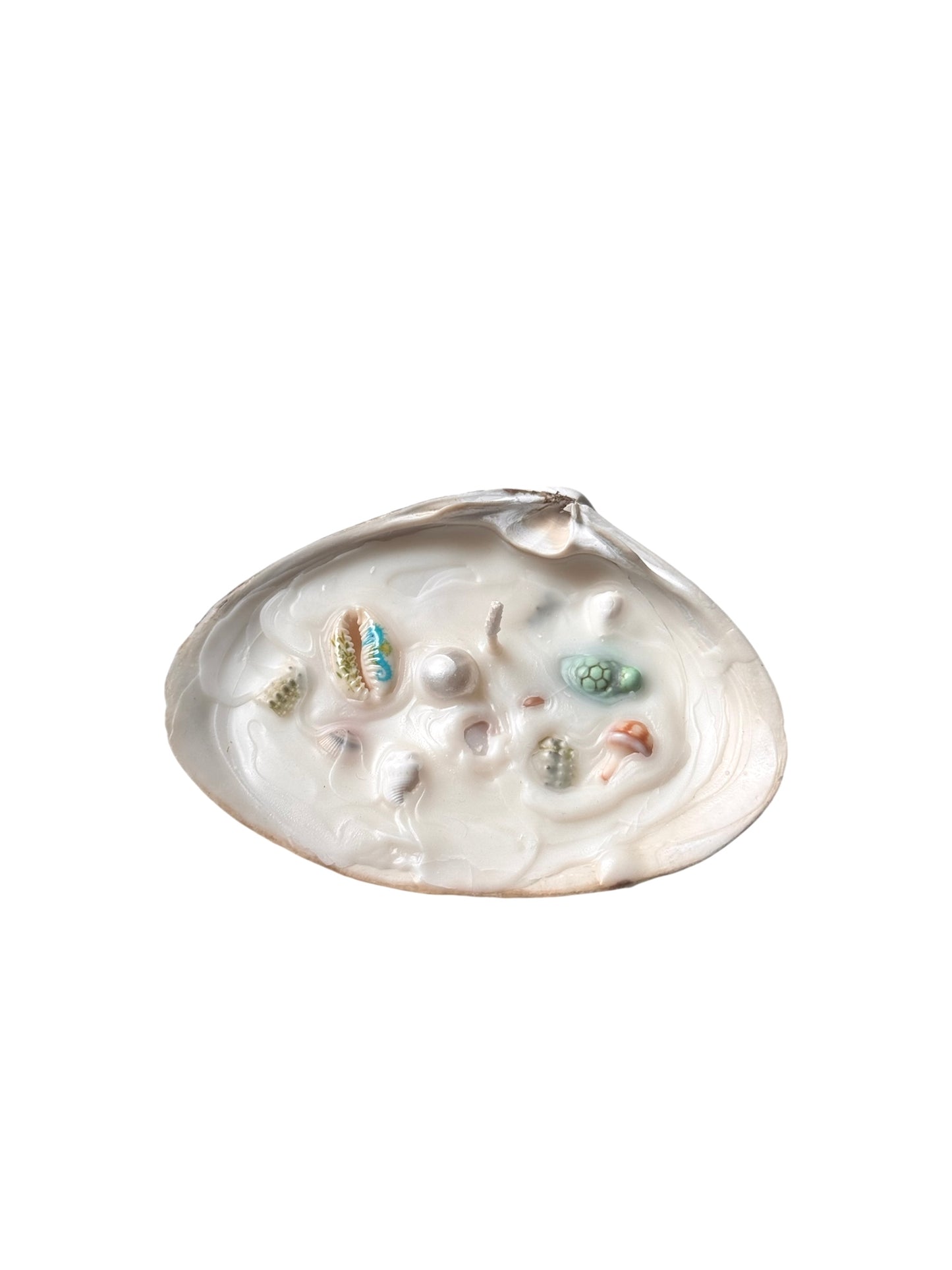 Seashell Candles