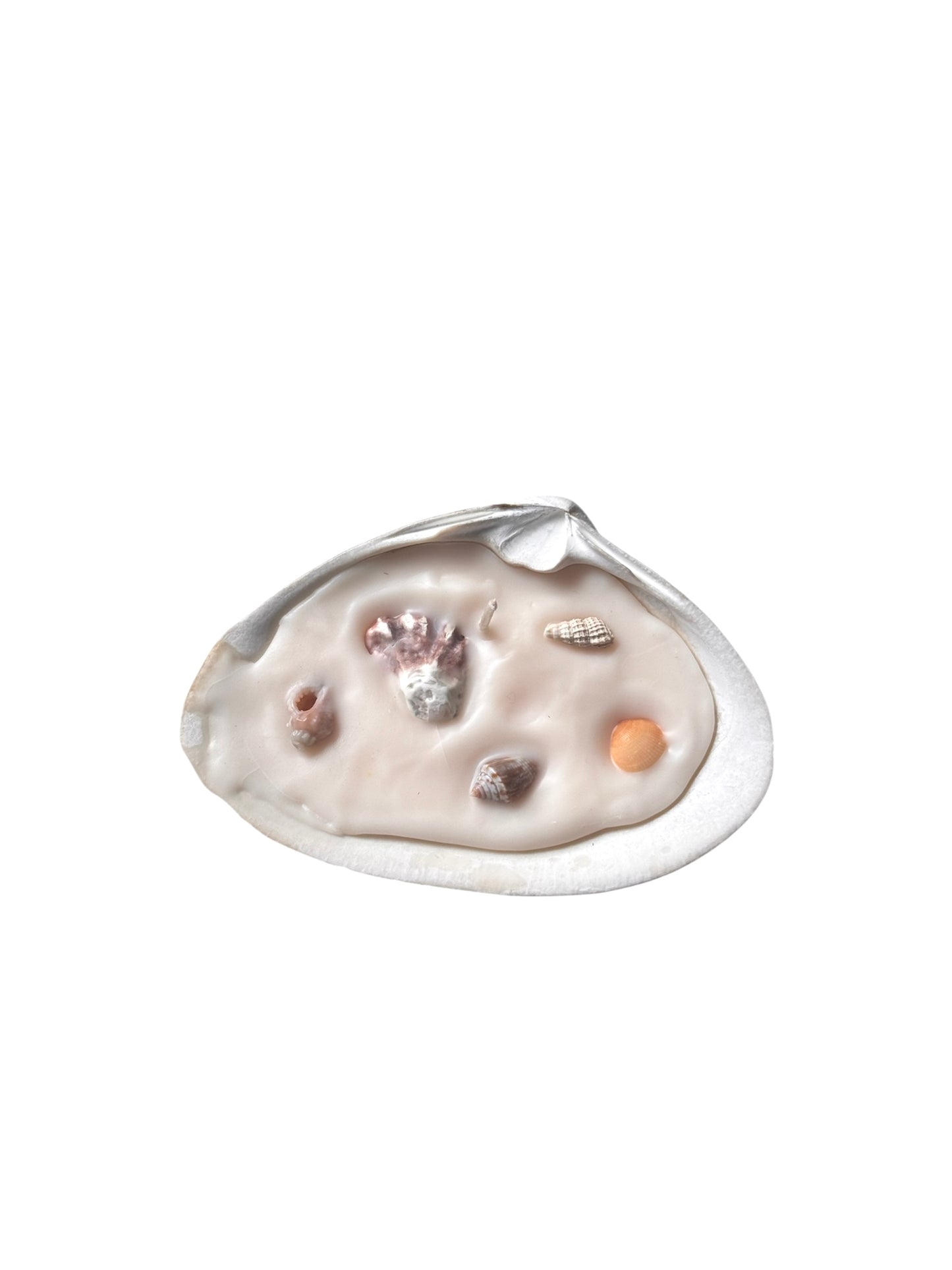 Seashell Candles